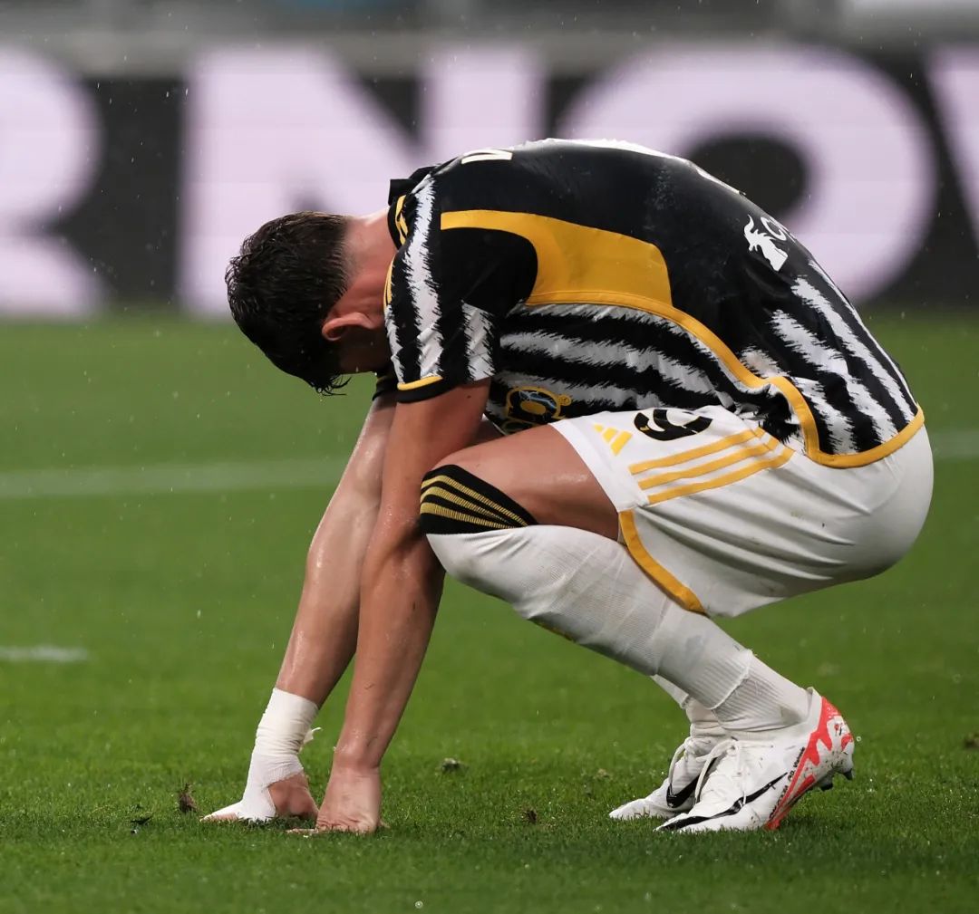 结论性展望 结论性展望